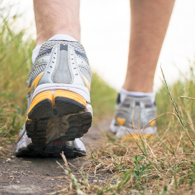 sentierspedestrescondosalouercowansville Logements Horizon